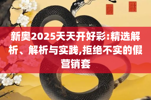 2025新澳天天正版免费观看:全面释义、解释与落实,杜绝误导性诱导