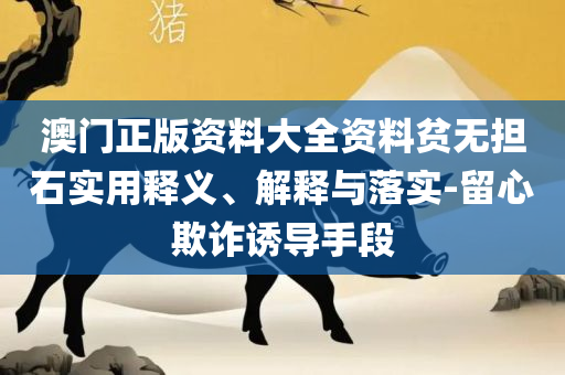 新澳正版全年免费资料和杜绝虚假的假宣传册-精选解析、解析与实践