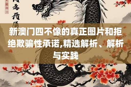 澳门一肖一码一一子中特,详细解答、解析与实践-杜绝虚假的假宣传册