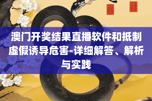 澳门一肖一码精准100%详细解答、解析与实践,小心夸大的陷阱