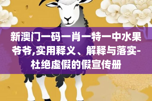 新澳2025年精准资料32期和拒绝虚假的表面光,详细解答、解析与实践