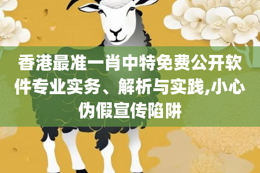 新澳资料正版免费资料和留心欺诈的手段-实用释义、解析与实践