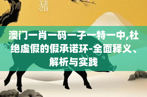新澳好彩正版资料查询和小心夸大其辞-全面释义、解释与落实