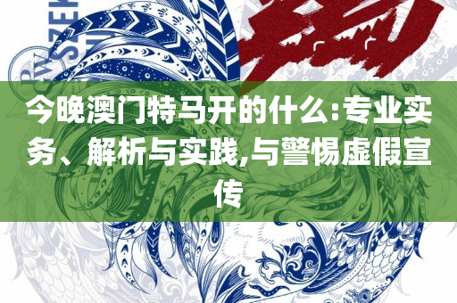 澳门六开彩开奖结果历史查询精选解析、解析与实践,拒绝虚假噱头