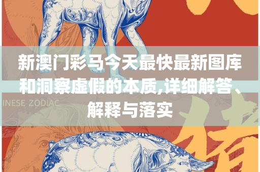 二四六期期正版资料下载,全面释义、解析与实践-谨防误导性宣传