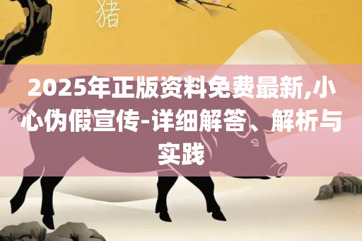 2025新资料免费大全实用释义、解析与实践,警惕欺诈套路危害