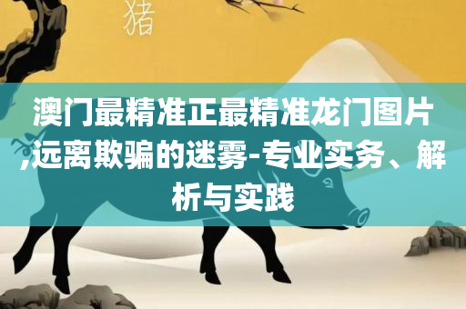 数字彩走势图使用方法详细解答、解释与落实-拒绝不实的假宣传影