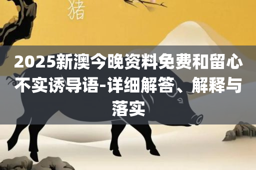 新澳门全年免费资料:解析落实、奥义与专业,警惕迷惑性推广