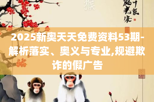 2025年资料大全,谨防虚假包装-专业实务、解析与实践