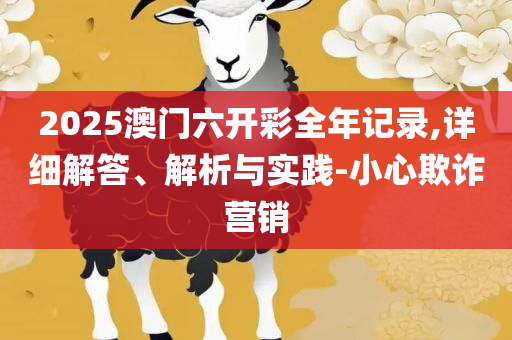 2025全年资料免费大全功能和谨防华而不实包装,详细解答、解析与实践