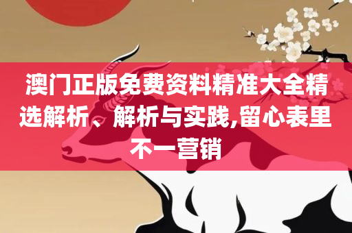 王中王免费资料大全-详细解答、解析与实践,抵制虚假迷障