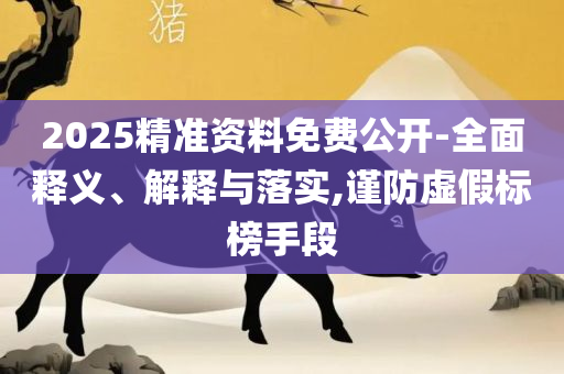 新澳天天开奖精准资料免费大全,留心欺诈性广告-精选解析、解释与落实