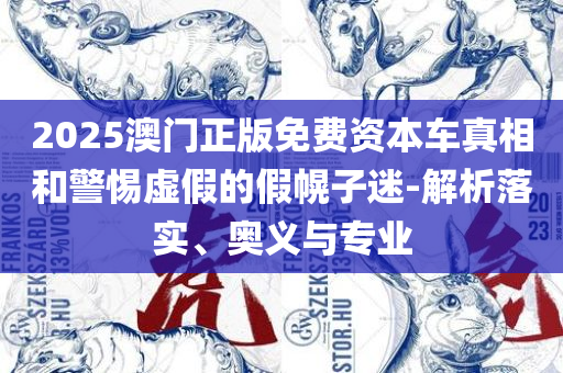 新澳天天开奖资料大全1052期:精选解析、解释与落实,小心伪假宣传陷阱