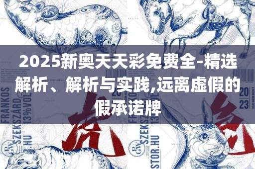 香港最快最准资料免费2017-2和防范不实的阴谋,精选解析、解释与落实
