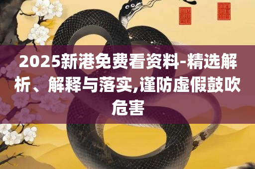 新澳门天天精准大全谜语和小心伪假宣传,全面释义、解析与实践