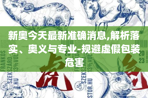 新奥2025精准正版免费大全和警惕迷惑性推广,专业实务、解析与实践