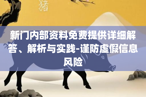 2025新澳历史记录查询入口精选解析、解释与落实,杜绝虚假的假承诺环