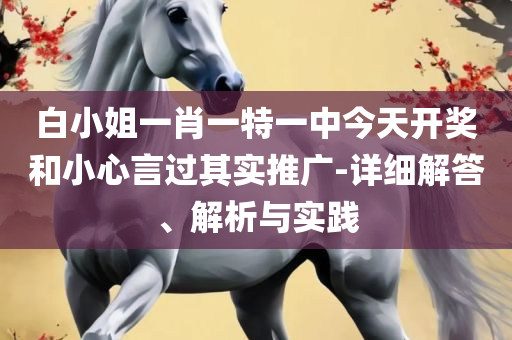 2025年正版资料免费下载入口和防范不实承诺,精选解析、解释与落实