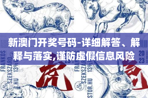 新奥2025天天开好彩,拒绝虚假噱头-实用释义、解析与实践