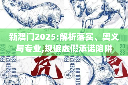 新澳2025年正版最精准,全面释义、解析与实践-谨防欺诈的假承诺境