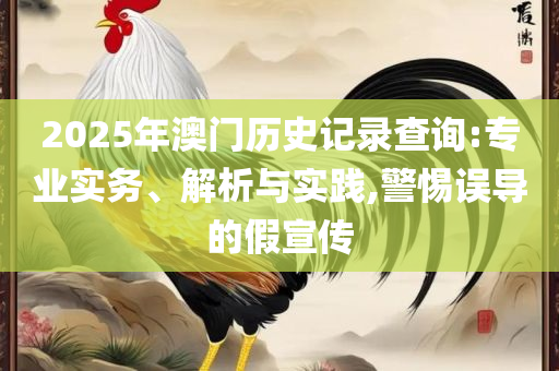 正版资料全年免费公开软件专业实务、解析与实践-谨防欺诈的假包装锁