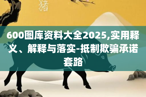 开奖记录2025,全面释义、解释与落实-防范虚假的诱饵