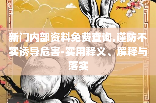 7777788888管家婆老家专业实务、解析与实践-防范不实的迷雾