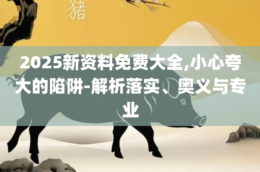 2025新港免费看资料,防范不实承诺-精选解析、解释与落实