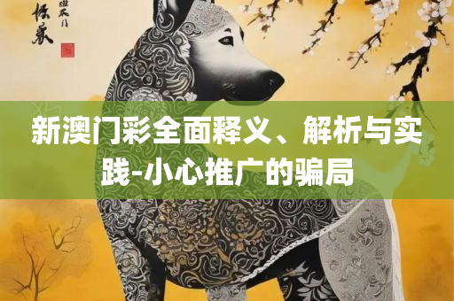 白小姐一码期期开奖结果,警惕迷惑性推广-全面释义、解析与实践