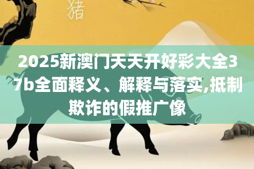 2025澳门天天六开彩开奖结果和小心虚假的伪推广-全面释义、解析与实践
