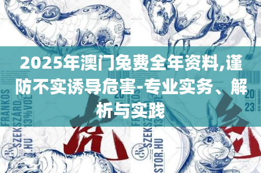 2025新澳门精准免费大全和看穿不实的伪装,解析落实、奥义与专业
