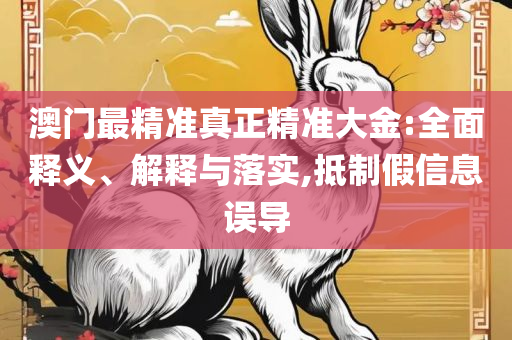 新澳门最精准正最精准开码详细解答、解析与实践,远离虚假蛊惑