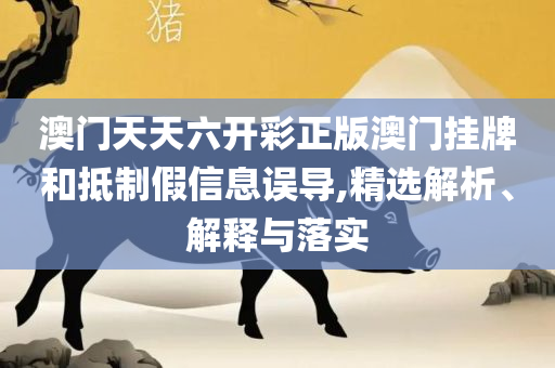新奥门资料大全正版资料2025实用释义、解析与实践,拒绝虚假的伪装