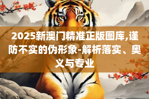 第800页