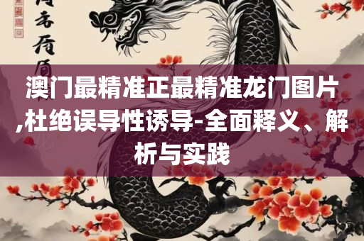 澳门精准正版资料大全网站-详细解答、解析与实践,警惕虚假宣传手段