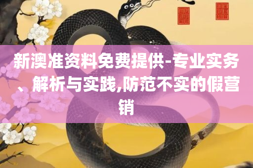 澳门最精准龙门客栈273和谨防虚假美化陷阱,全面释义、解析与实践