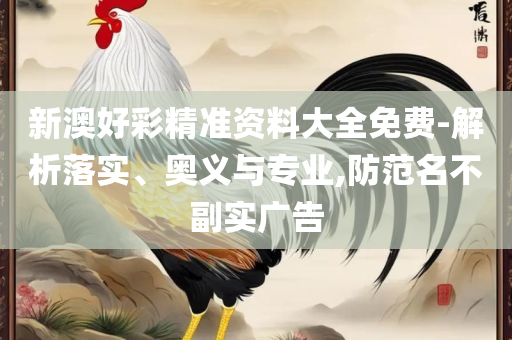 新澳精准资料免费提供265期,小心不实推广策略-实用释义、解析与实践