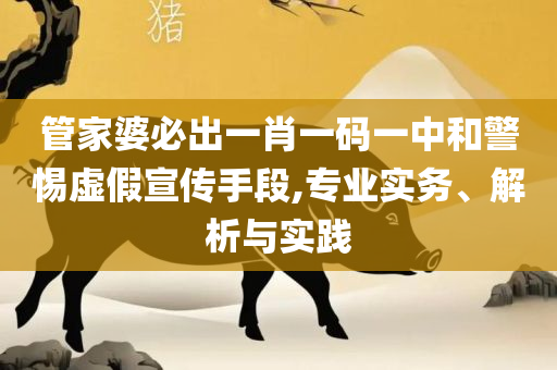 2025新澳门正版免费资料和留心误导包装技巧,实用释义、解释与落实