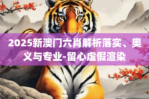 2025正版新奥管家婆香港全面释义、解析与实践-防范虚假诱惑钩