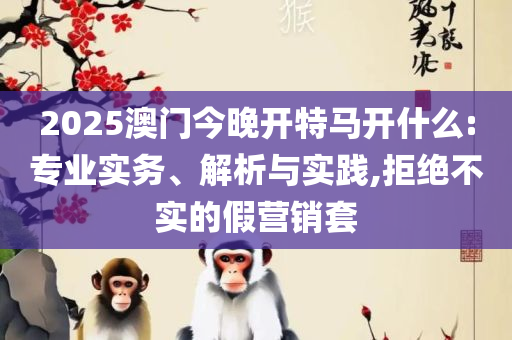 管家婆一码一肖100准-专业实务、解析与实践,拒绝虚假渲染陷阱
