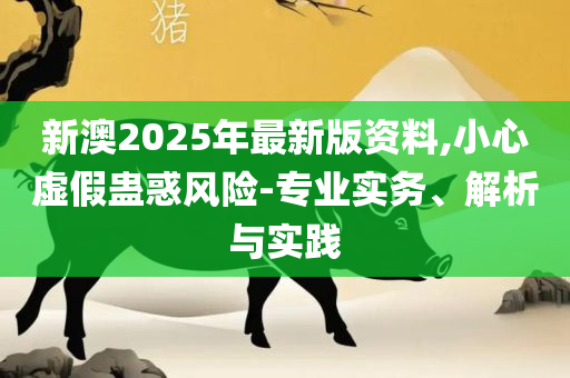 77778888王中王资料-实用释义、解析与实践,小心夸大的陷阱