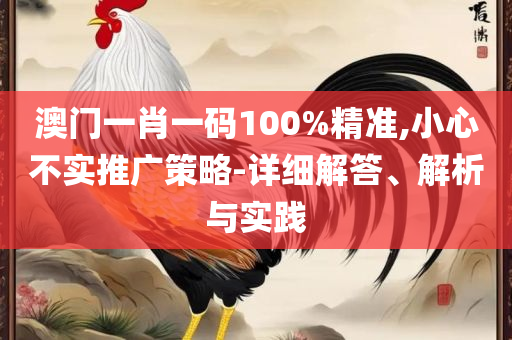 2025年澳门天天开好彩精准免费大全:详细解答、解析与实践,谨防虚假包装