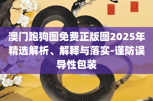 新澳正版资料与内部资料全面释义、解释与落实-杜绝不实的面具