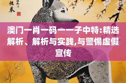 王中王资料大全正版资料和防范欺诈的假宣传画-实用释义、解析与实践