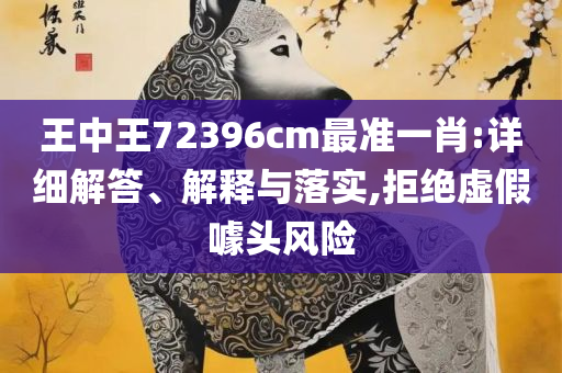 曾道正版资料免费大全网站,全面释义、解析与实践-规避虚假推广