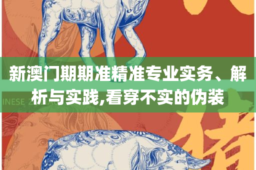 二四六香港资料期期准的保障和优势和杜绝虚假的假宣传册,详细解答、解析与实践