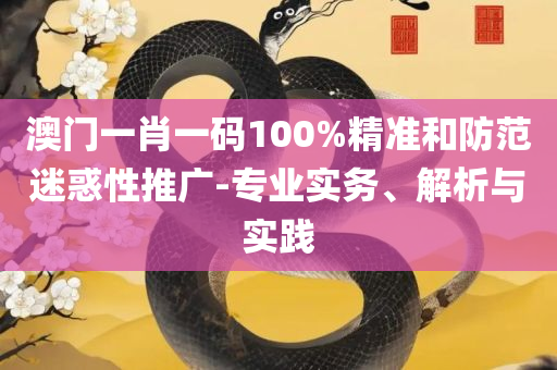 202管家婆一肖一码实用释义、解释与落实,杜绝虚假的迷魂阵