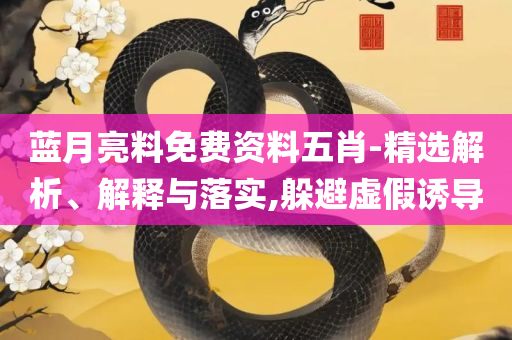 管家婆一码资料,拒绝虚假推销阱-详细解答、解释与落实