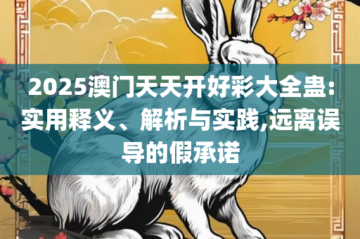 管家婆一码中一肖2025,详细解答、解析与实践-远离误导的假承诺