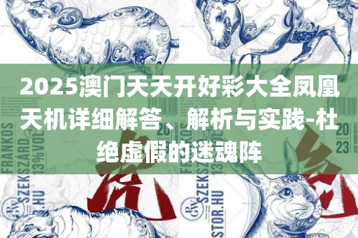 2025澳门开奖结果,精选解析、解释与落实-谨防欺诈的假承诺境